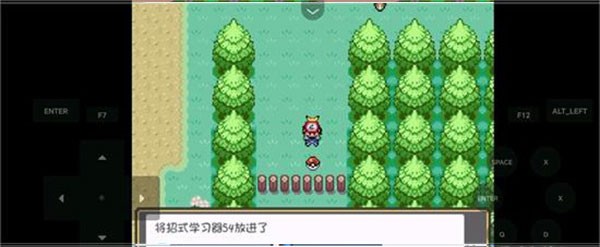 口袋妖怪燃之智3.3截图