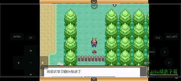 口袋妖怪燃之智新手攻略