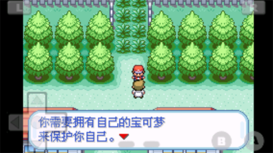 口袋妖怪火红截图