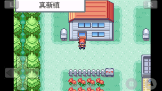 口袋妖怪火红截图