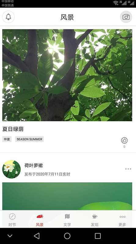 二十四节气之菜市场