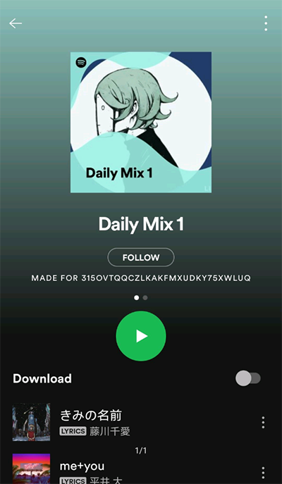 Spotify安装包截图