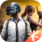 和平精英抢先服