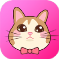 猫语翻译pet
