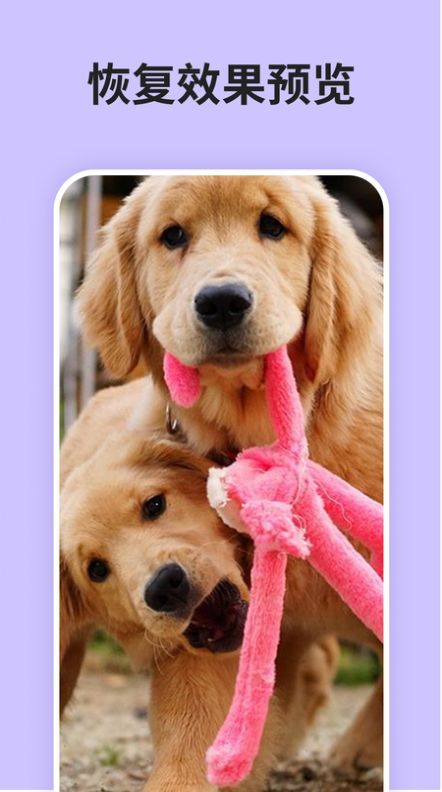 照片恢复强力助手