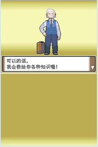 口袋妖怪白金汉化版截图3