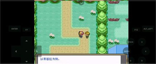 宝可梦燃之智截图