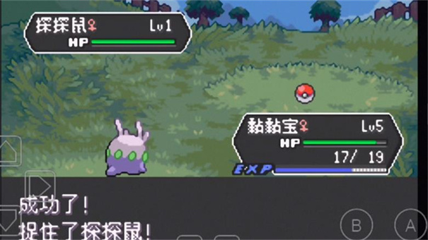 口袋妖怪龙之石3截图