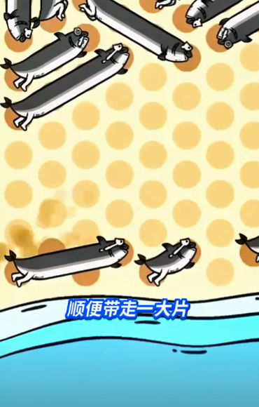 这关很难过截图4