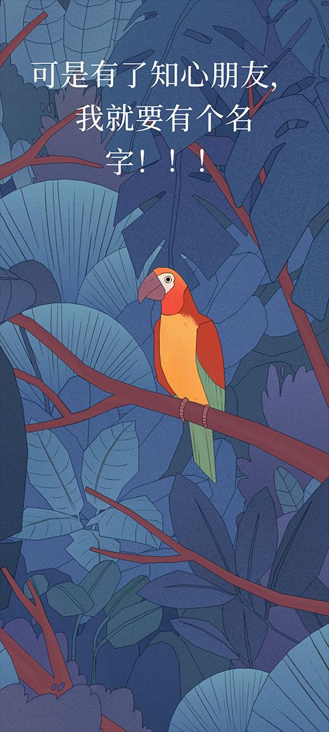 孤独的鸟儿攻略