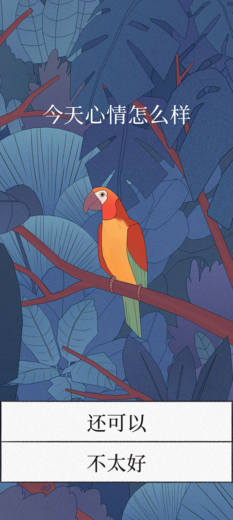 孤独的鸟儿攻略