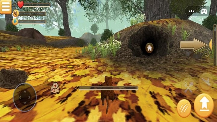 梦幻冒险动物之旅截图1