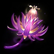 奇茸通天菊截图