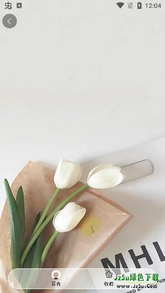 灵丹美图app最新版下载