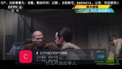 鲨鱼TV