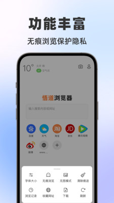 悟道浏览器截图3