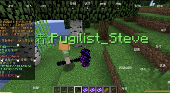 烦人的村民截图