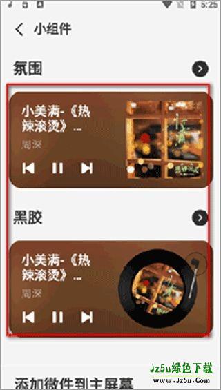 谜底黑胶软件功能