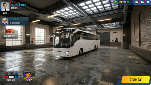 TDZ驾驶模拟器截图