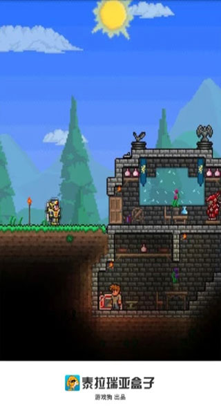 泰拉瑞亚盒子截图1