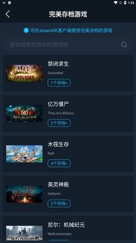 steamok截图1