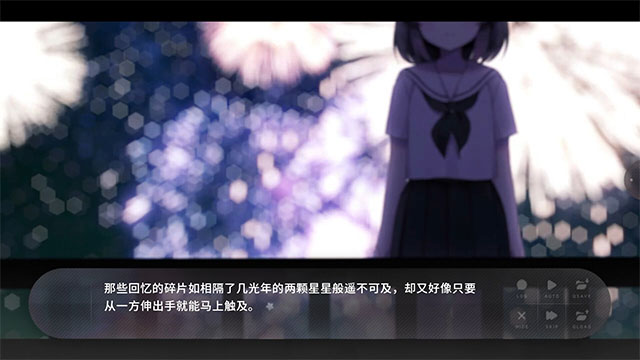 夏末盛开的花截图2