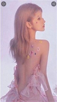 麻匪壁纸全透明文件包