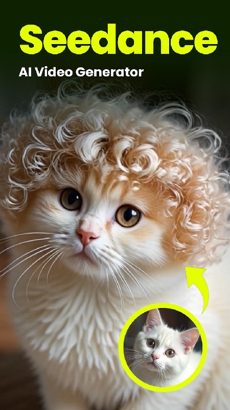 seedance1.5 pro截图
