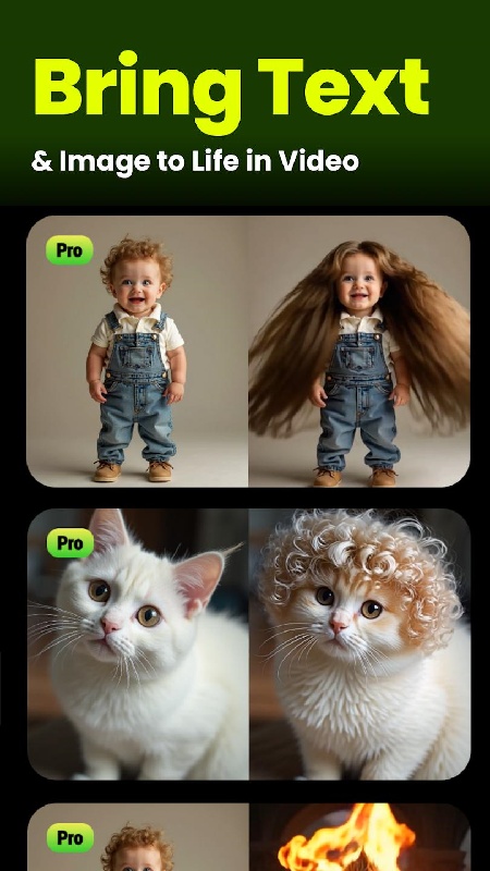 seedance1.5 pro截图