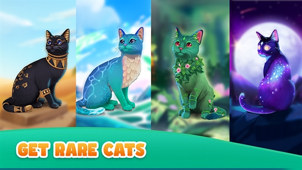 猫咪救援故事截图