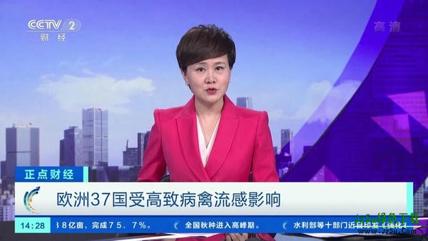 小薇直播电视版