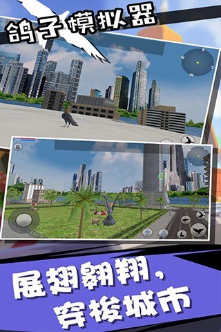 鸽子模拟器截图