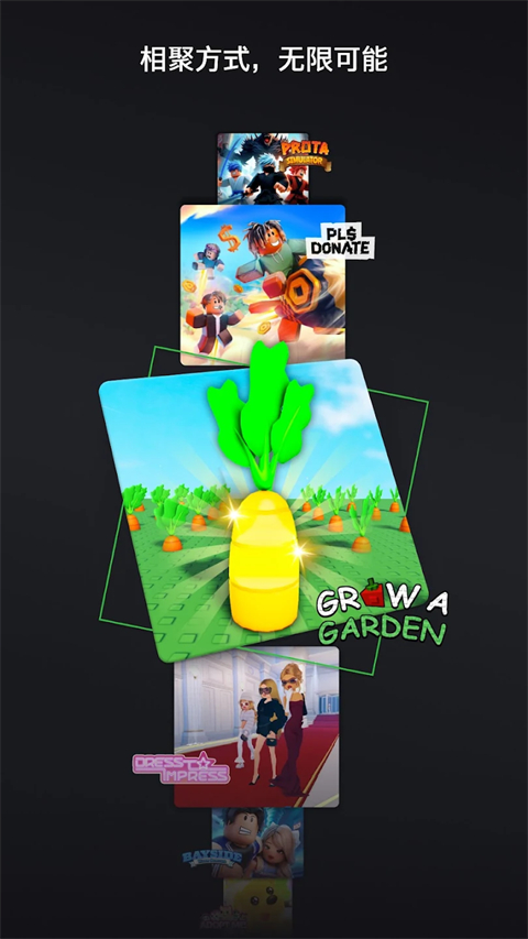 罗布乐思国际服最新版截图