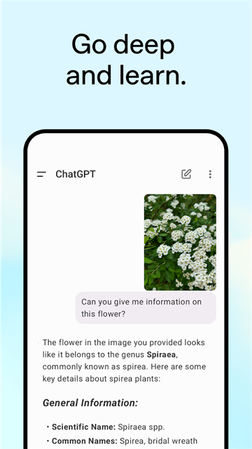 chatgpt plus