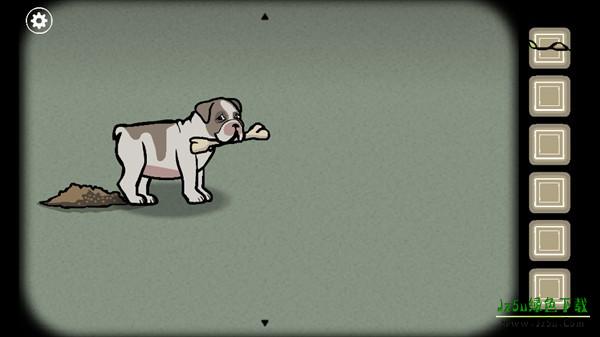 喂狗并种下种子