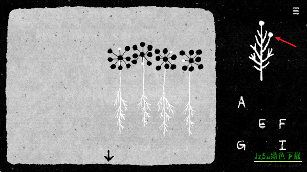 她的树解谜之梦