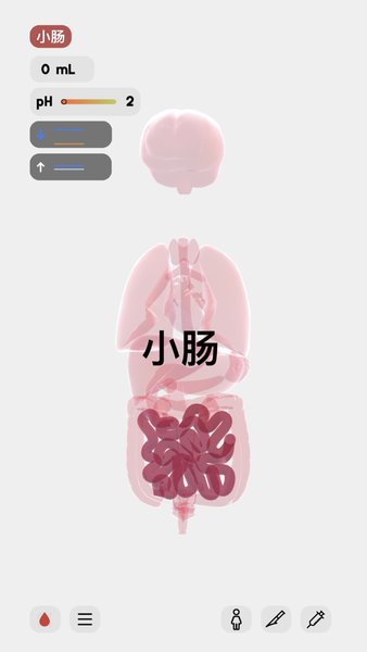 life生命模拟器1.5.1截图