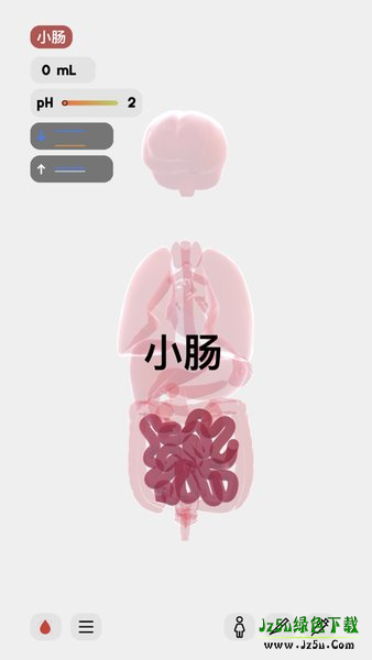 life生命模拟器1.5.1