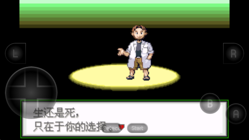 口袋妖怪生与死截图