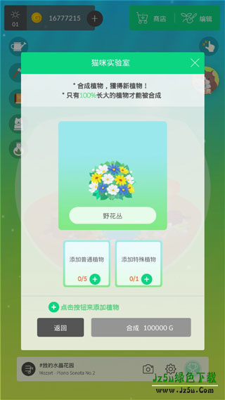 我的花园小院