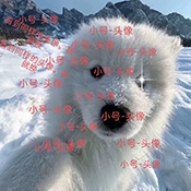 小号连点