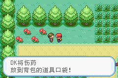 gba口袋妖怪修改器