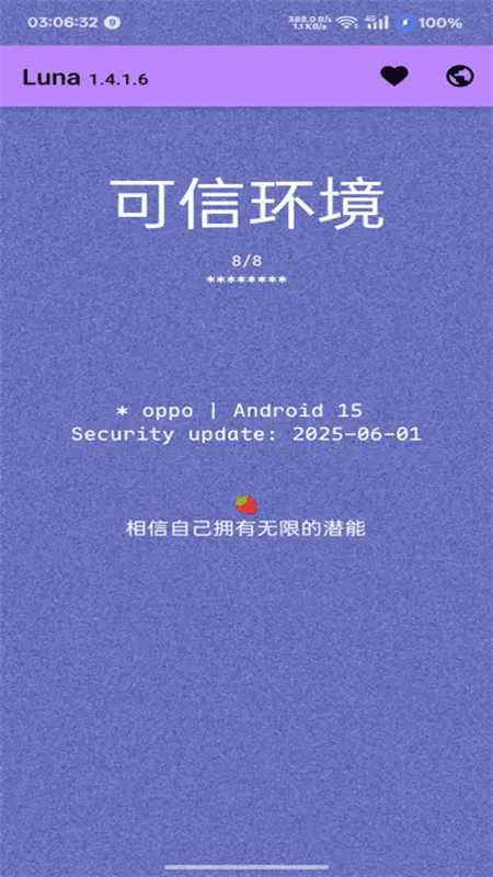 luna环境检测工具截图