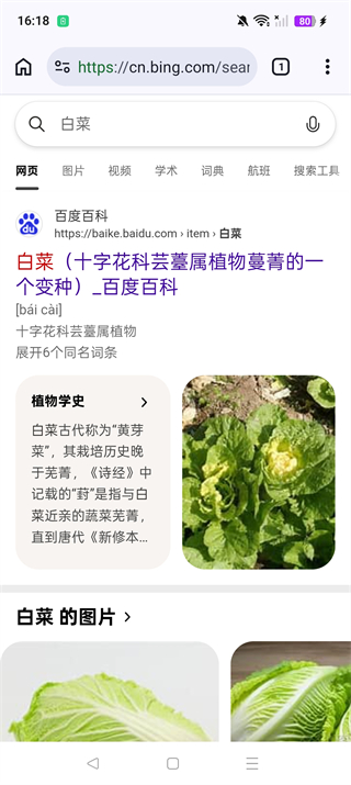 Cromite截图
