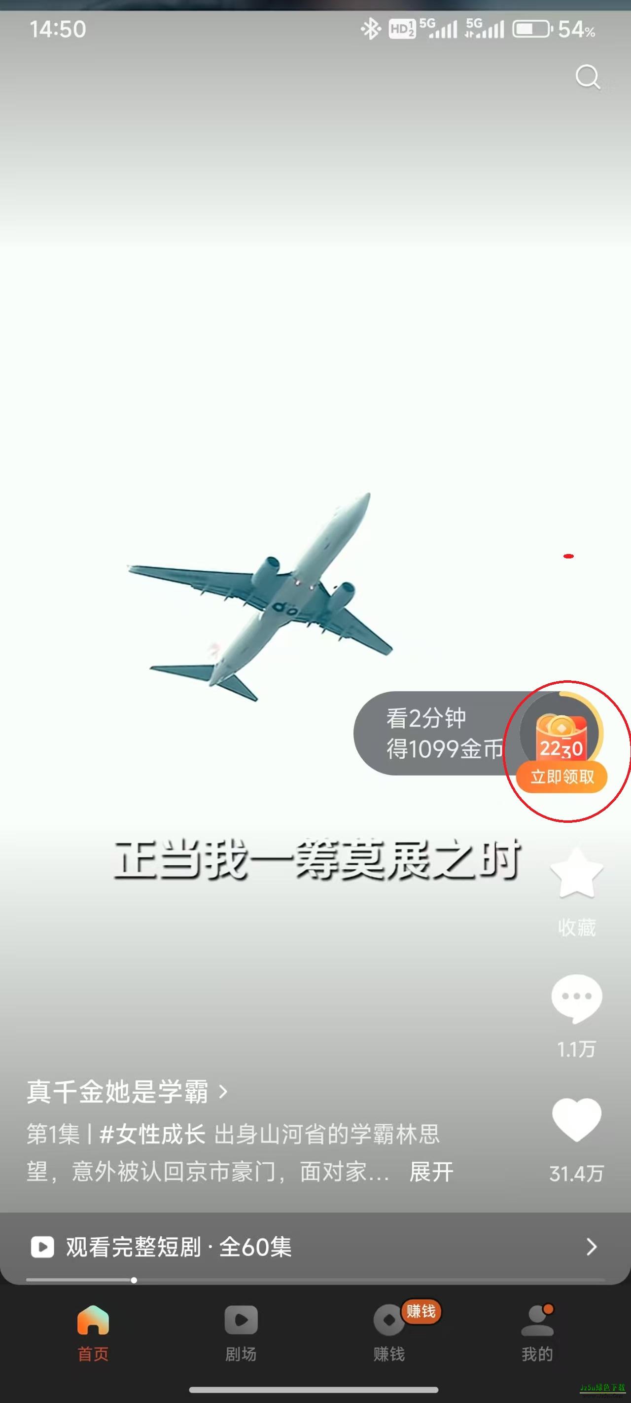红果小说短剧