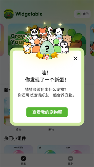 widgetable截图3