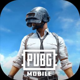 PUBG日服