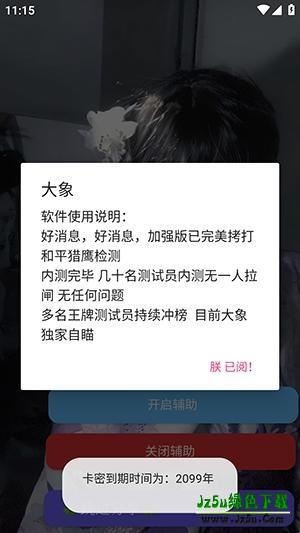 大象直装