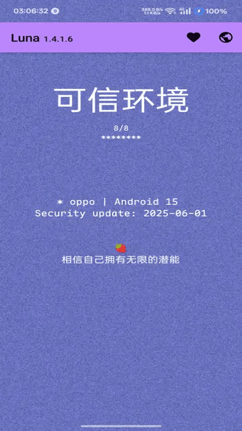 Luna环境检测截图