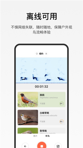 懂鸟截图